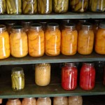 fermentation-jars-shelves