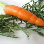 carrotLG