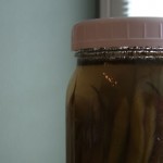 lf-pickled-greenbeans