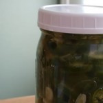 lf-pickled-jalapeno-pepper-slices