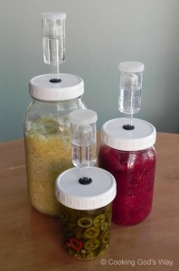 group-fermenting
