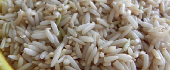 Germinated Brown Rice - STEP 3