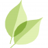 cgw-logo-leavesbg