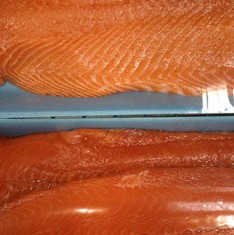 Farmed vs. Wild Caught Salmon