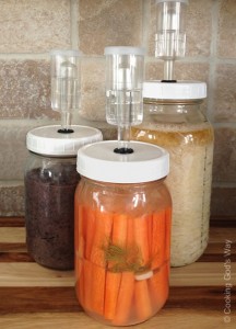 Three Fermenting Jars