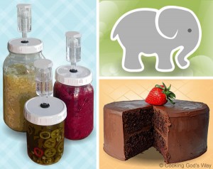 Lacto-fermenting, Three Elephants, Betty Crocker