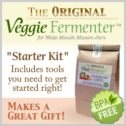 Original Veggie Fermenter Starter Kit