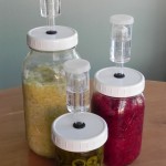 Group of Fermenting Jars