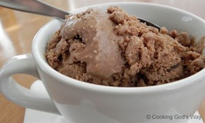Mocha-Coffee Coconut Milk Ice Cream