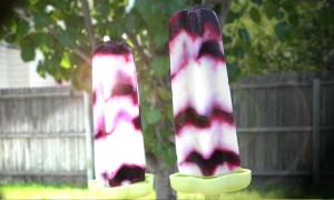 berry-yogurt-pops